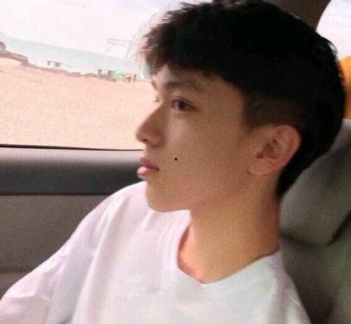 可爱头像男吃瓜,可爱男头像演绎吃瓜瞬间