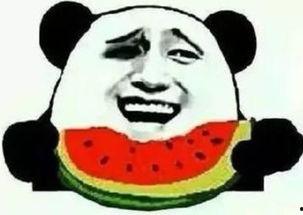 重生只吃瓜群众