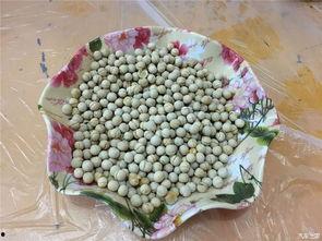 今日吃瓜51吃瓜,揭秘娱乐圈最新热点事件