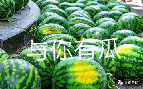 陕西公园吃瓜事件,一场引发热议的公共道德风波