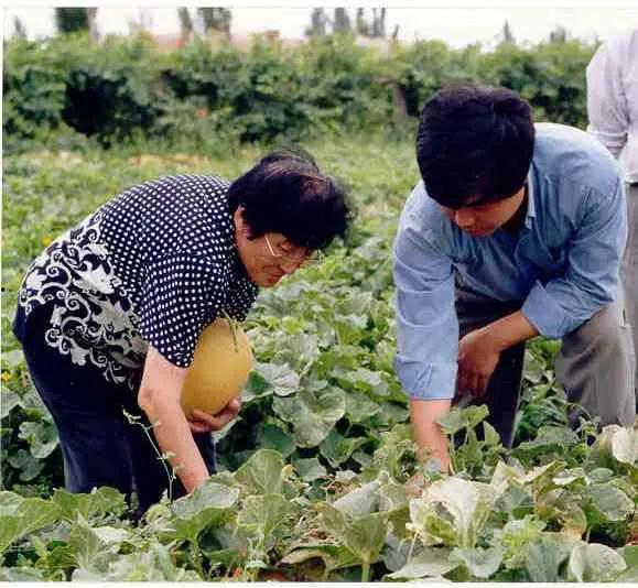 四川交院操场吃瓜