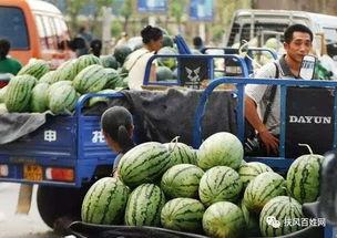 四川交院操场吃瓜