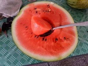 歪果仁吃中国瓜,一场跨文化的味蕾之旅