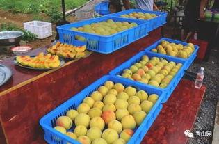 吃瓜清溪,揭秘乡村美食背后的故事