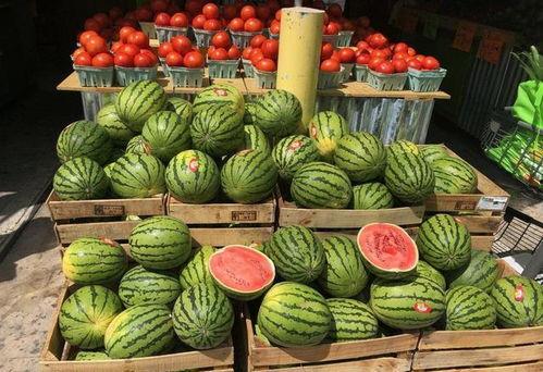 果摊吃瓜,品味生活，尽享瓜果飘香