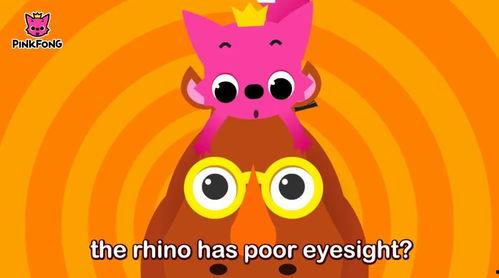 犀牛吃瓜儿歌,趣味盎然的动物乐园