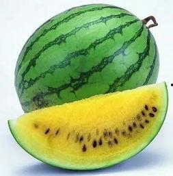 全网吃瓜最新下载,最新下载吃瓜大揭秘！