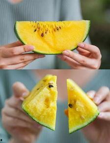 全网吃瓜最新下载,最新下载吃瓜大揭秘！