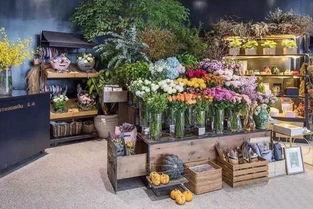 吃瓜协会 花店,花店背后的温馨故事