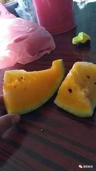 无人自助唱歌吃瓜,唱歌吃瓜新潮流