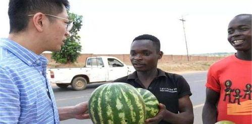 无人自助唱歌吃瓜,唱歌吃瓜新潮流