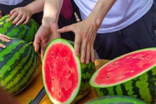 学院吃瓜实拍,吃瓜实拍，揭秘校园生活点滴