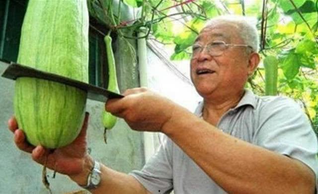 吃瓜砍胳膊,揭秘网络恶搞背后的心理与社会现象