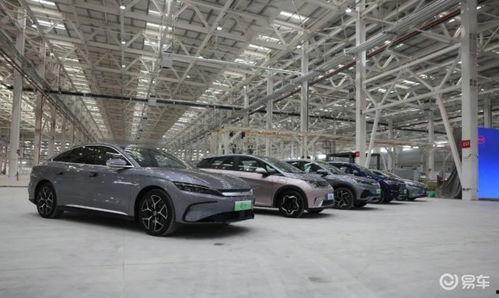 合肥比亚迪吃瓜