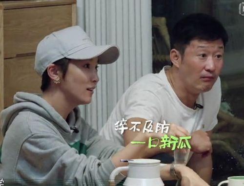 吃瓜表情姨母笑,揭秘娱乐圈幕后故事