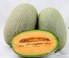 长体藓可以吃哈密瓜吗,探索植物界的奇妙共生