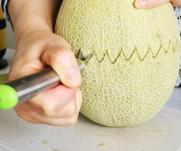 长体藓可以吃哈密瓜吗,探索植物界的奇妙共生