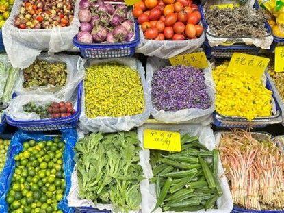 春城大观吃瓜,一场别开生面的吃瓜盛宴