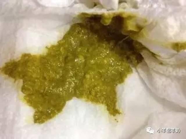 吃角瓜大便拉稀,揭秘吃角瓜后的消化问题