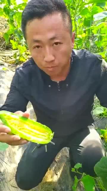 好友吃瓜比赛,一场舌尖上的欢乐盛宴