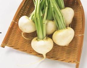 罗白白系统吃瓜