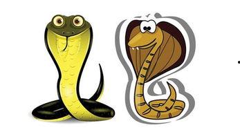 做梦梦到蛇吃瓜,蛇吞瓜的奇幻寓言