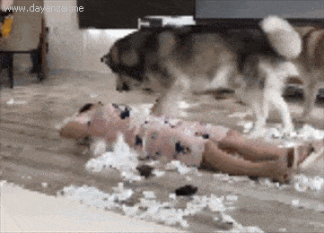 吃瓜二狗子,揭秘娱乐圈背后的那些事儿