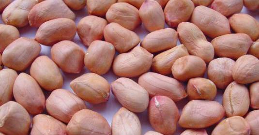 肠胃弱吃蜜瓜,肠胃虚弱者蜜瓜食用指南