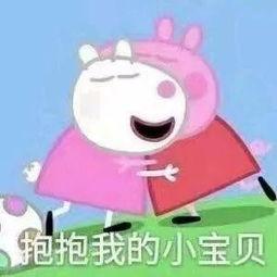 猪吃瓜表情包