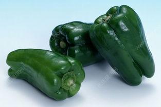 辣椒吃瓜,辣椒吃瓜的独特风味体验