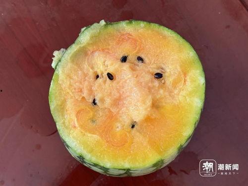 丽水网红吃瓜事件,揭秘网络舆论背后的真相与争议