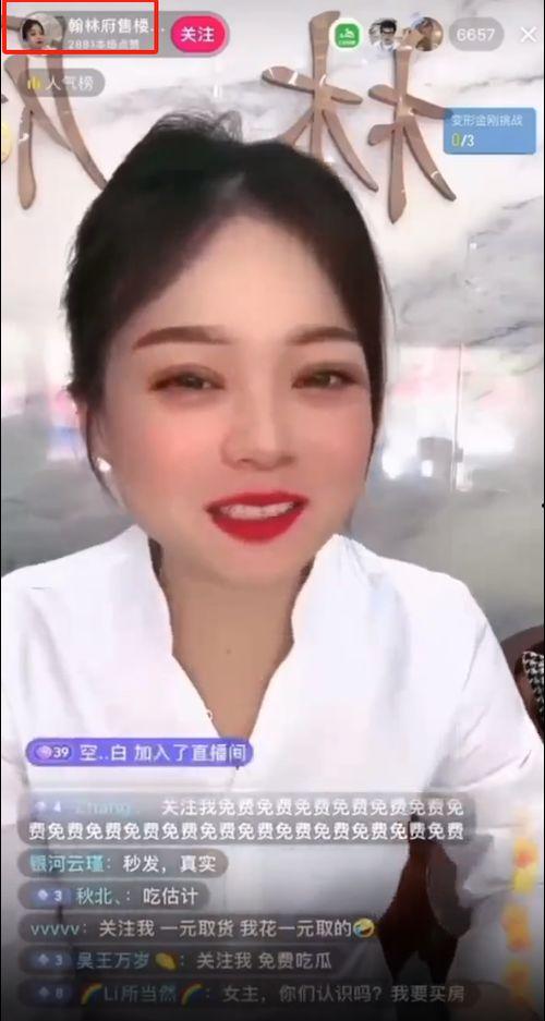 吃瓜最新女销售,揭秘吃瓜女销售的风采与魅力