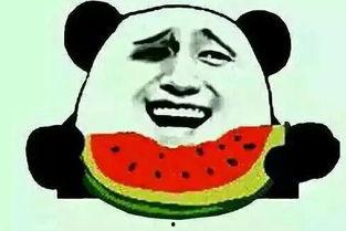 吃瓜群众是不是无脑,无脑还是理性看客？