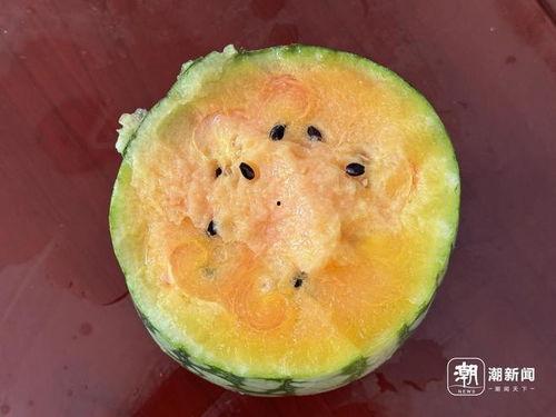 什么瓜吃瓜瓤,揭秘“吃瓜”背后的文化现象