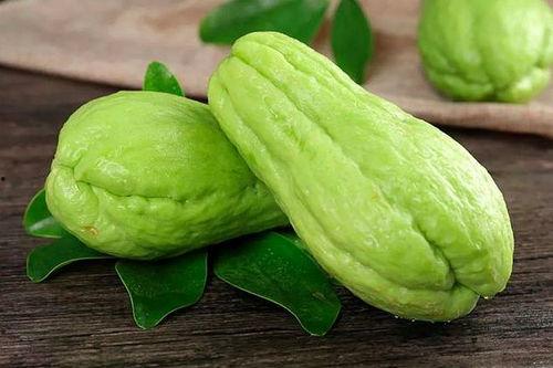 蒲瓜好吃还是吊瓜吃