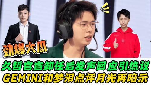 gemini吃瓜梦泪,瓜田里的电竞传奇