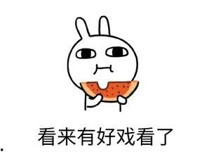 吃瓜不易 围观类似,吃瓜不易，围观更难