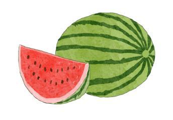 吃瓜怎么挑瓜视频,教你如何挑选美味多汁的吃瓜技巧