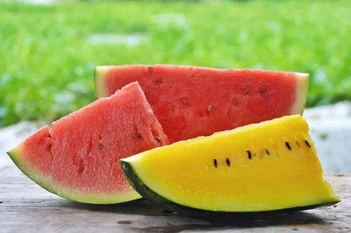 吃瓜怎么挑瓜视频,教你如何挑选美味多汁的吃瓜技巧