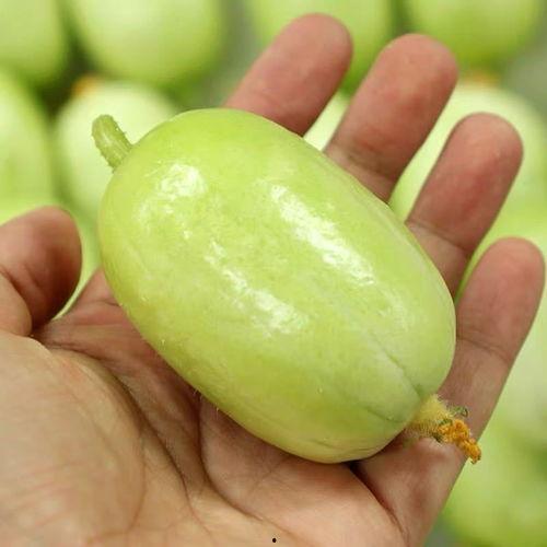 吃瓜卖瓜头像图片女,瓜香四溢，她笑靥如花