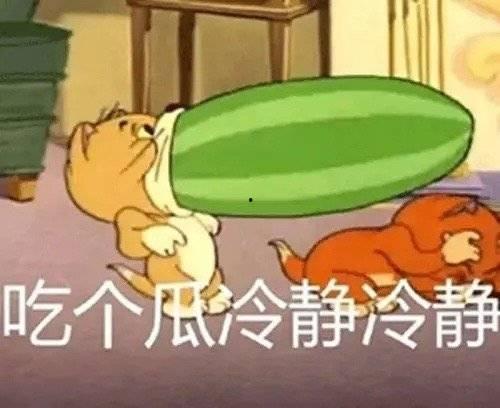 新瓜吃不吃,探索时下流行美食的奥秘