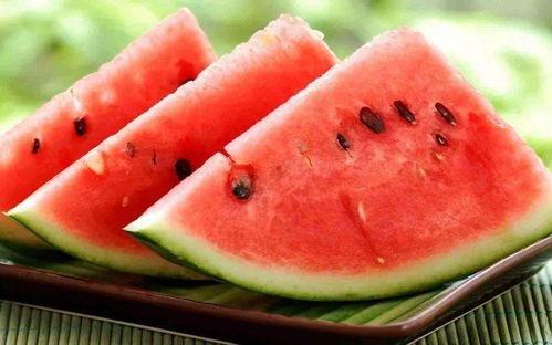 带你吃瓜 做饭,家常美食与趣味生活的完美融合